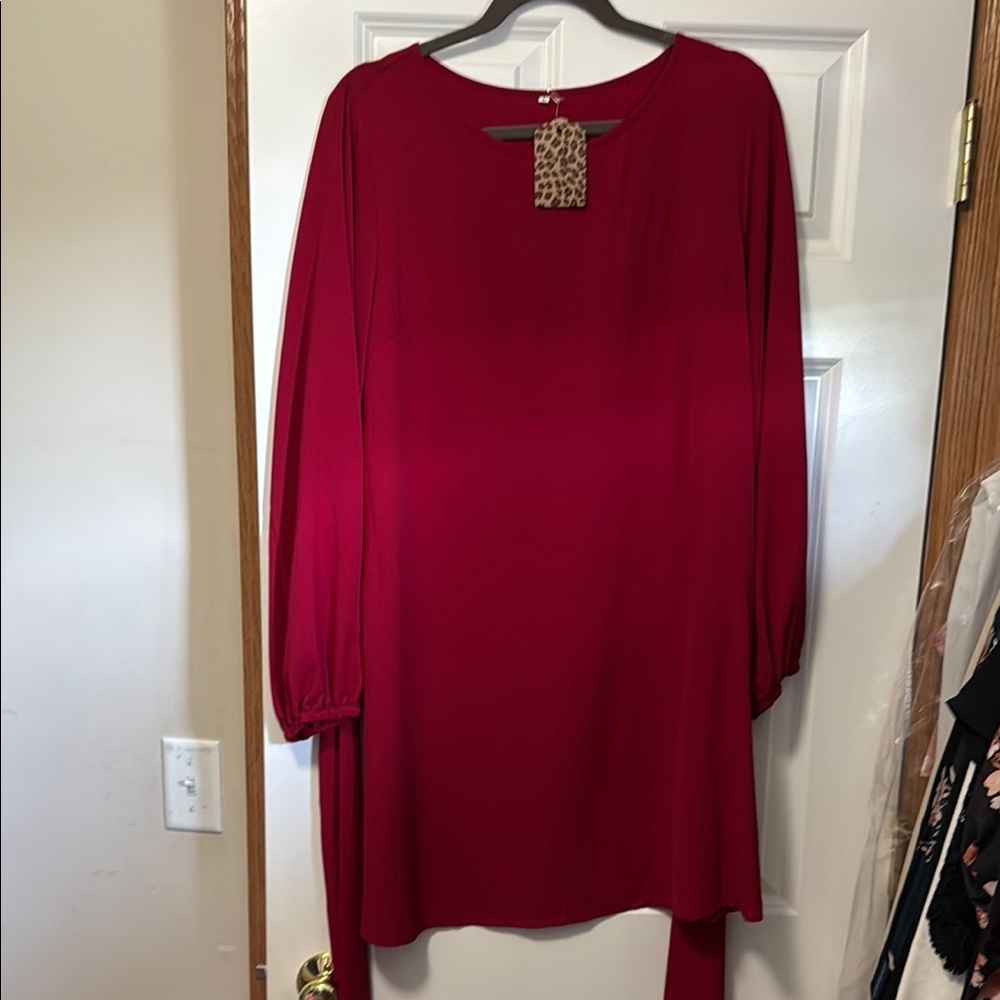 Elegant Red Mini Dress
